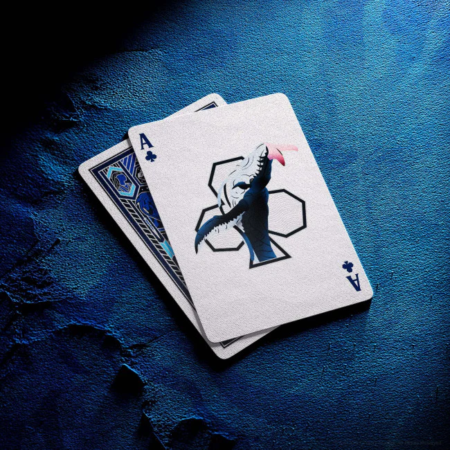 Thumbnail 11