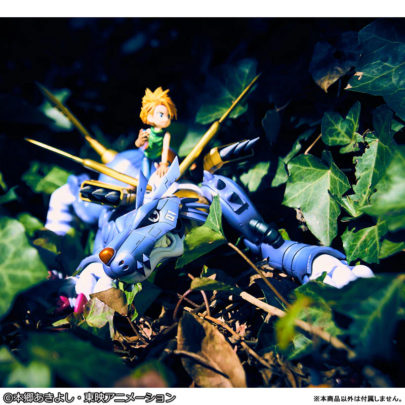 Thumbnail 11