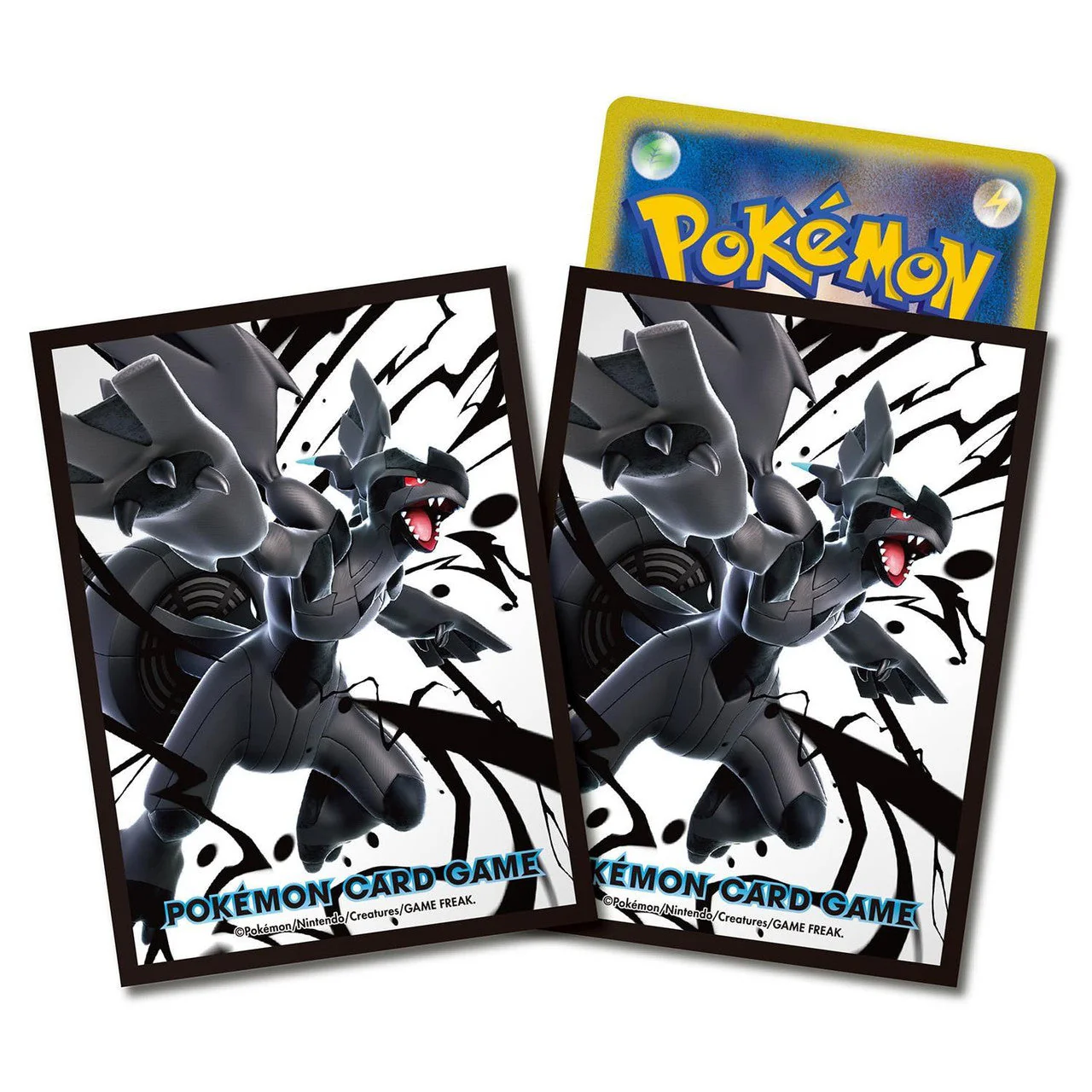 Thumbnail 23