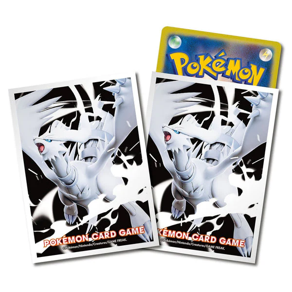 Thumbnail 24